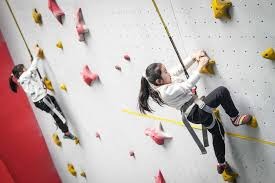 意大利对北爱尔兰交手7胜3平1负，1958年世预赛曾被对方淘汰